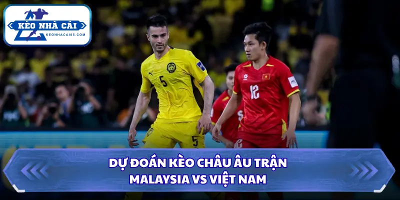 Tỷ lệ châu Âu và xu hướng dòng tiền trước trận